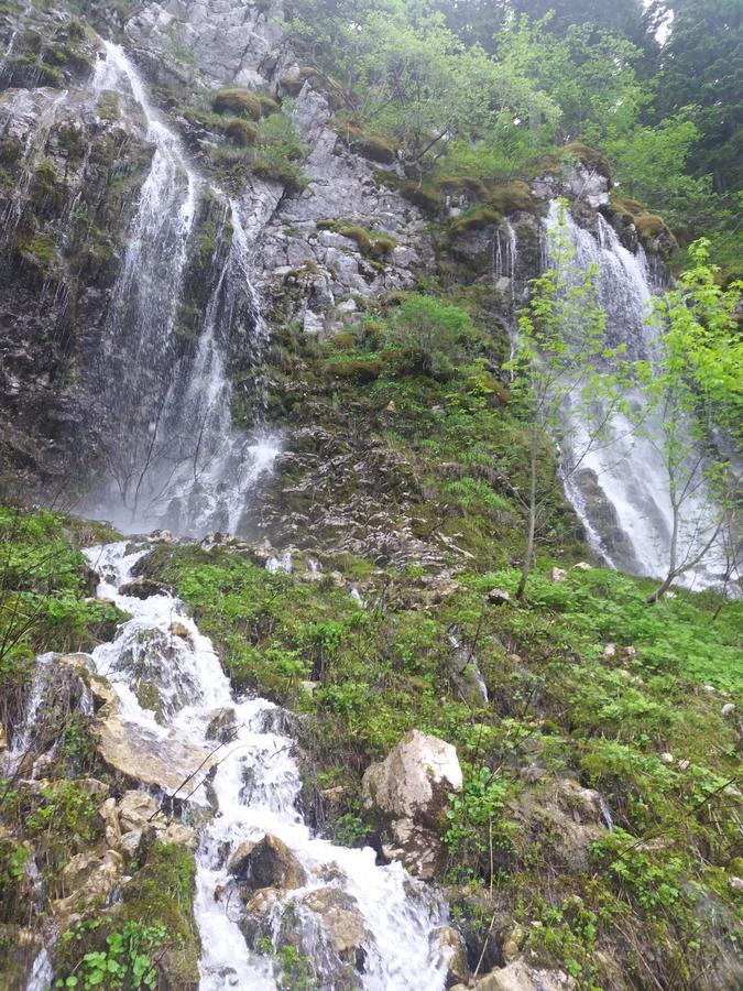 Golubovic Apartments Žabljak Dış mekan fotoğraf